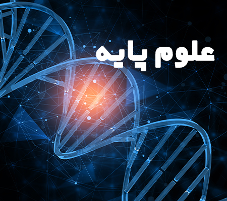 science-image2.jpg